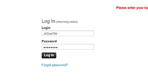 Screenshot showing Login and password text field.