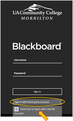 Blackboard login screenshot circling the sign in link below the sign in button.